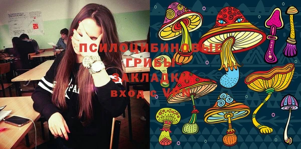 хмурый Абаза