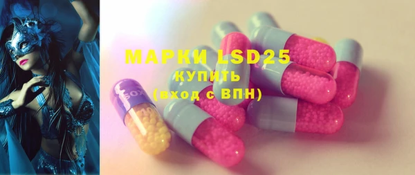 хмурый Абаза