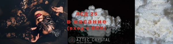 хмурый Абаза