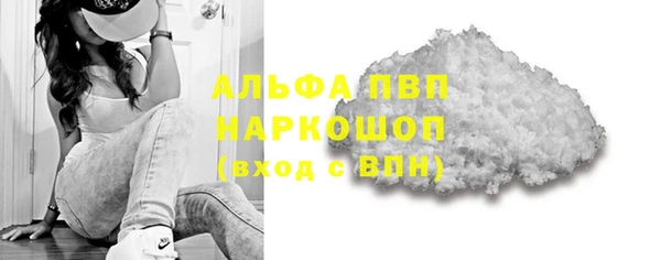 хмурый Абаза