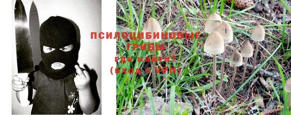 не бодяженный Абдулино