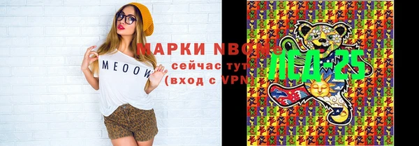 стаф Алзамай