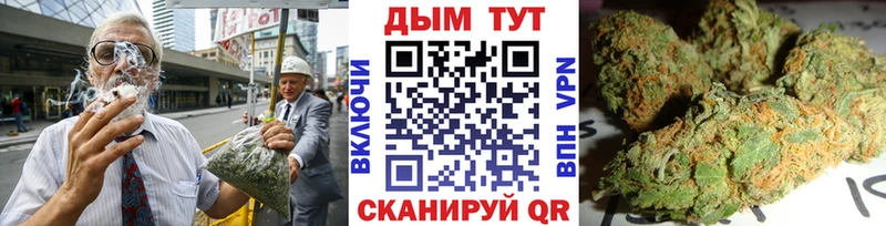 Бошки Шишки MAZAR  Прокопьевск 